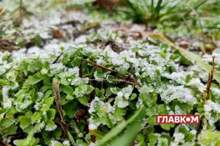 Синоптики оголосили попередження про заморозки: які області опиняться в зоні ризику