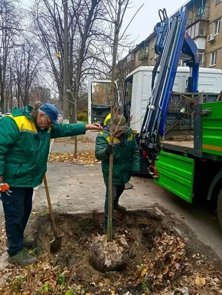 Нове озеленення столиці: на вулицях Києва з’явилися клени та липи