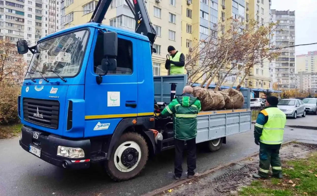 Нове озеленення столиці: на вулицях Києва з’явилися клени та липи