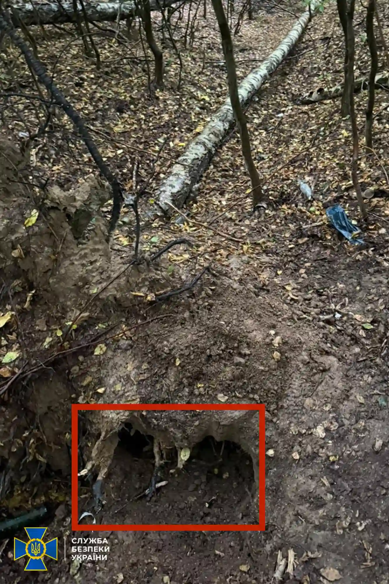 Зброя зі схрону в лісі: СБУ заявила про новий ключовий доказ у справі вбивства Парубія