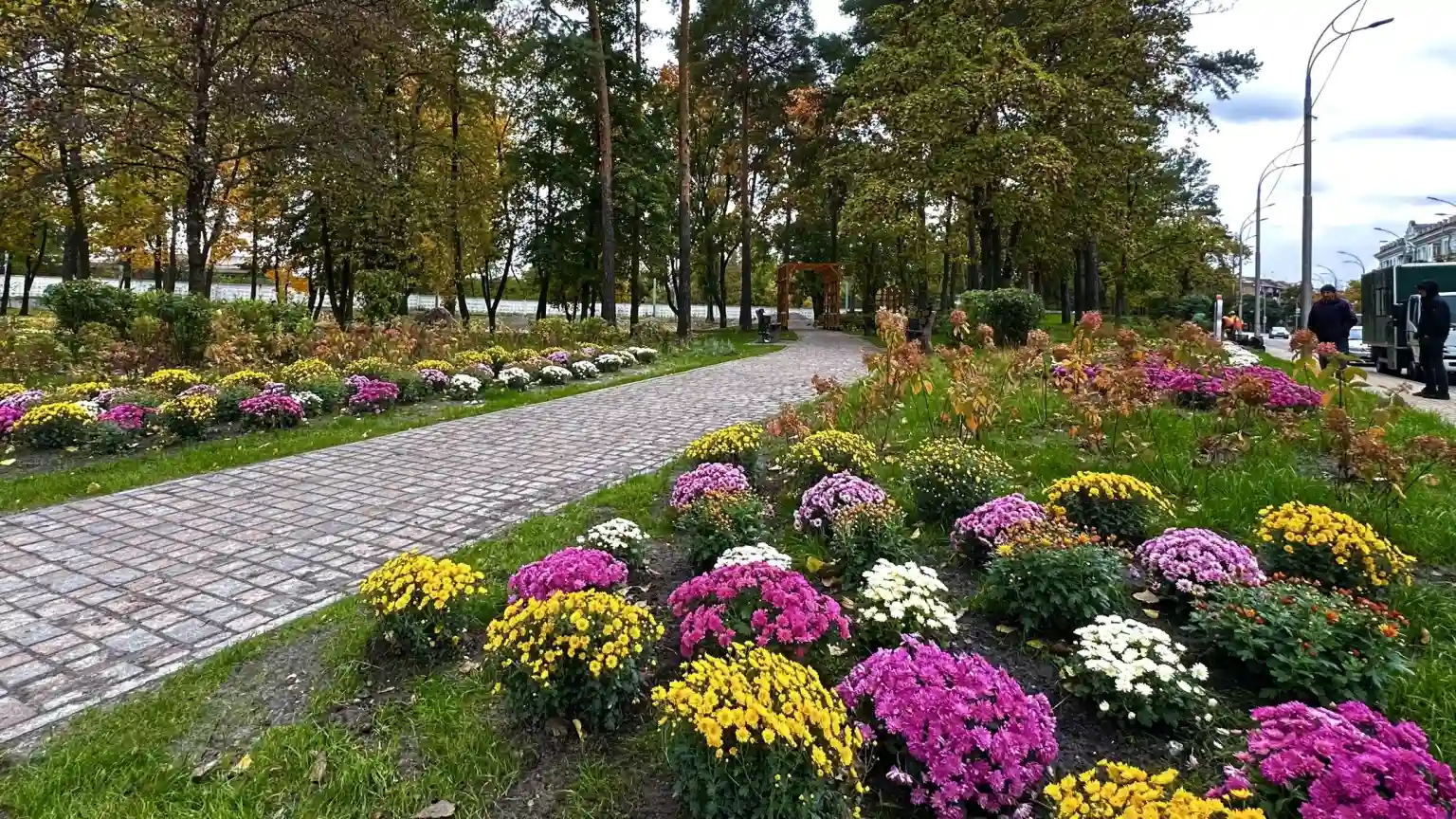 Київ цвіте та зеленіє: підсумки масштабного озеленення 2025 року