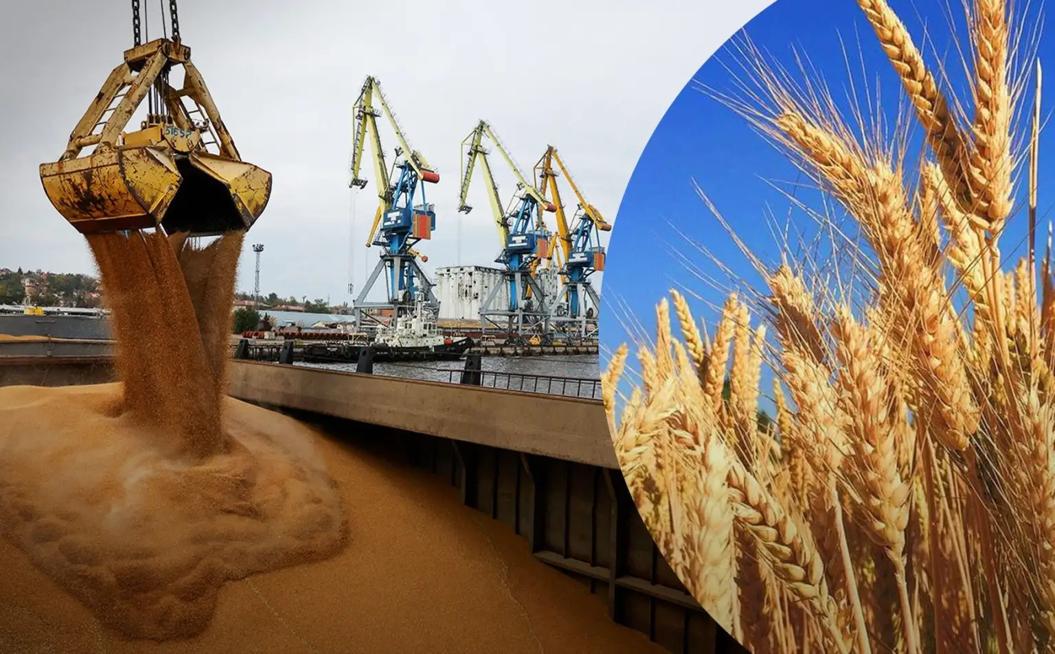Зерновий рубіж: український морський коридор транспортував 100 мільйонів тонн агропродукції